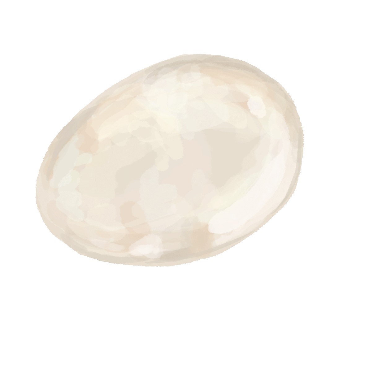 egg